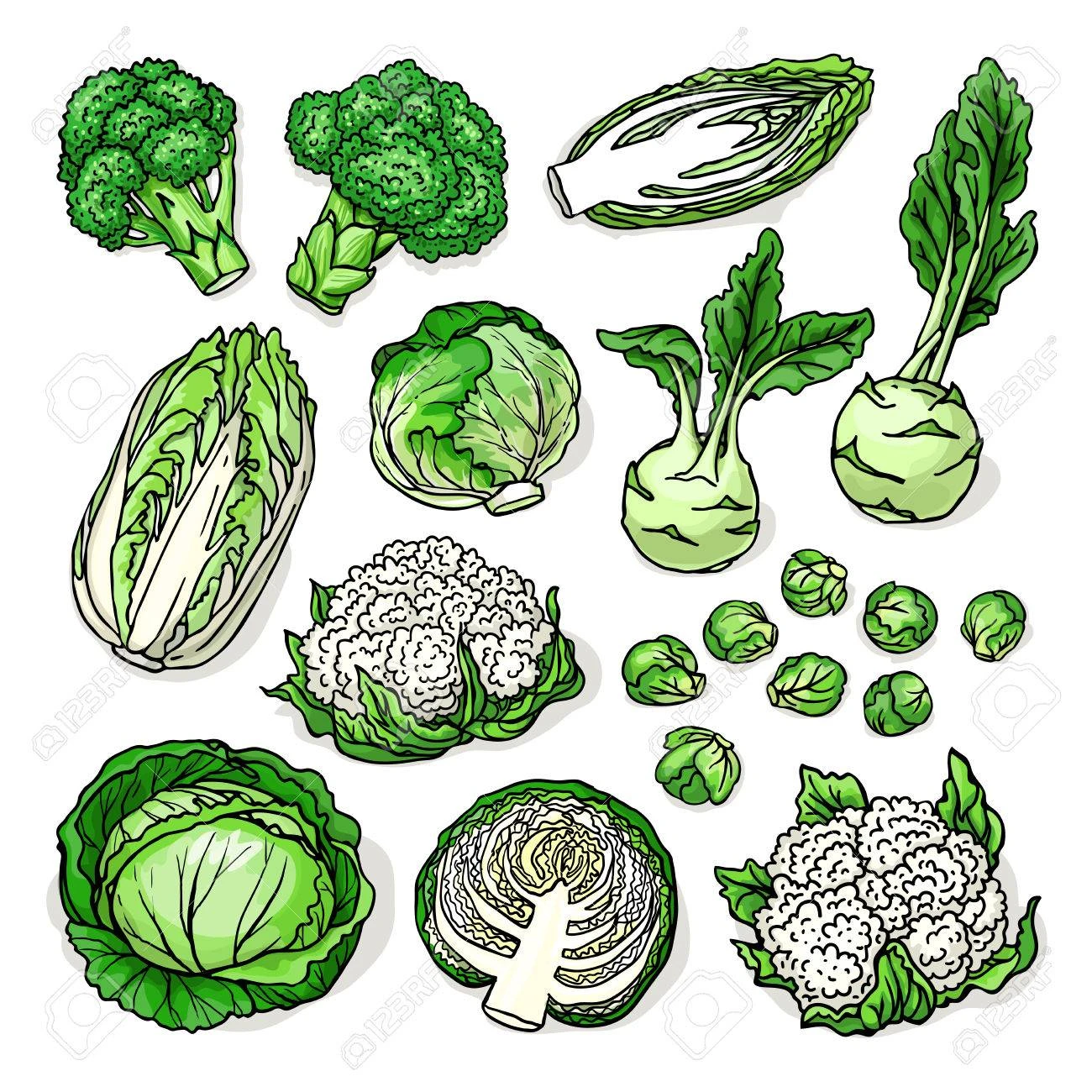 Cruciferous Vegetables